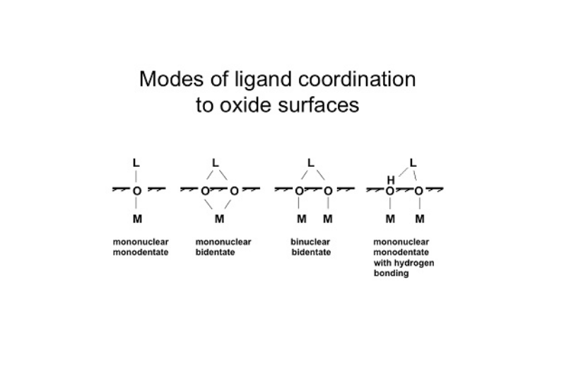 binuclear_complex_figure_1